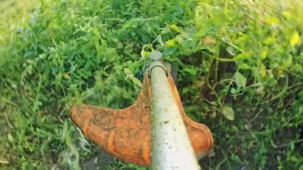 Benzine gazon trimmer maait sappig groen gras op een grasveld op een zonnige zomerdag. Aangedreven tuin apparatuur in de wazige groene achtergrond. — Stockvideo