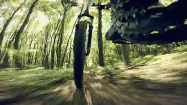 Mountainbiken afdaling in een bos aflopende snel op de fiets. Uitzicht vanaf de onderkant van de fiets op het voorwiel. Groothoek. — Stockvideo