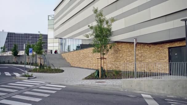 View of road with pedestrian crosswalk and contemporary city with gray paneled facade. — Stock Video