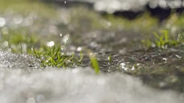 Chuva em queda salpicando em uma poça no chão — Vídeo de Stock