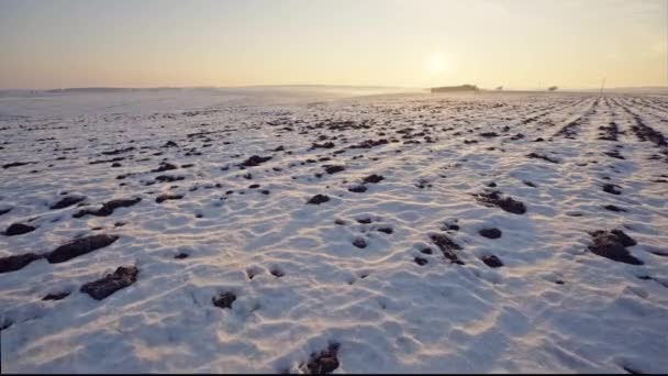 Śnieg pokrywające odłogiem pola uprawne — Wideo stockowe