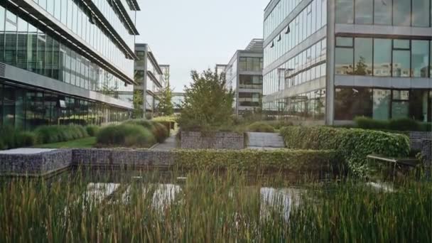 Hermoso estanque artificial en el patio de oficinas, con un montón de plantas verdes. Cámara inclinada hasta edificios de oficinas de vidrio y cielo despejado — Vídeos de Stock