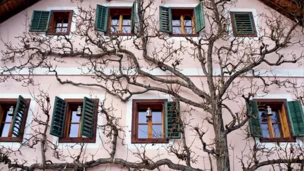 Vue panoramique sur la façade d'un chalet alpin, Hallstatt — Video