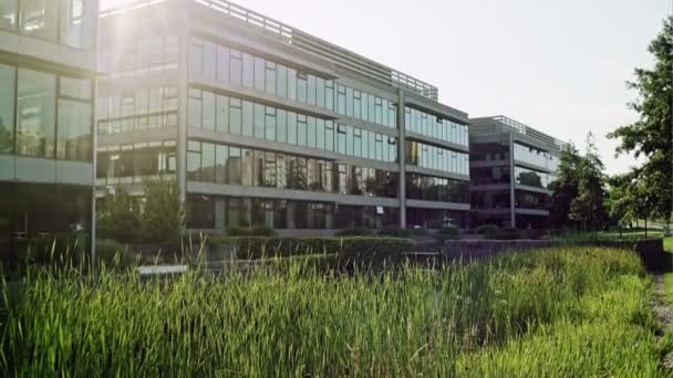 Row of modern glass fronted office blocks — Stock Video