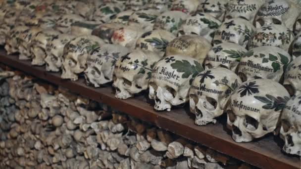 Composed memorial skulls — Stock Video