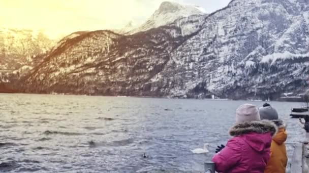 Vista de crianças pequenas, pessoas explorando o belo lago com cisnes, cercado por montanhas frias rochosas, Áustria . — Vídeo de Stock