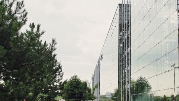 Vista inferior de rascacielos modernos en el distrito financiero — Vídeo de stock