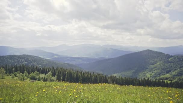 Перспективний краєвид зелених гір з лісами під яскраво-синім небом з білими хмарами . — стокове відео