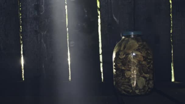 夏天在阳光照射下, 花园里的一只干蘑菇的银行. — 图库视频影像