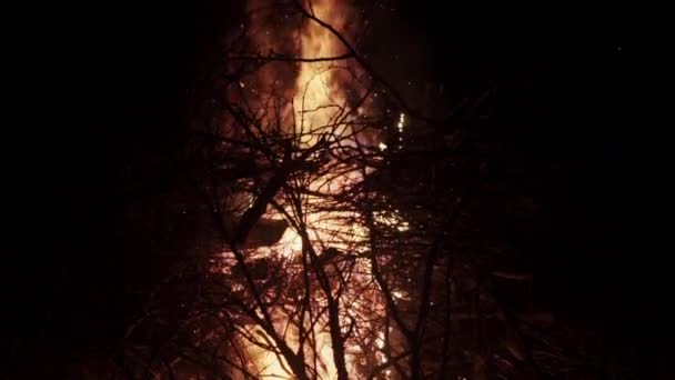 Gran pila de fuego brillante de humus en la noche - cámara lenta — Vídeos de Stock