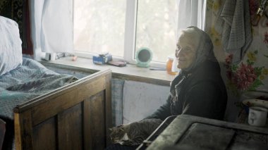 Lovely grandmother sitting by the window with a cat in an old house. Traditional old house lonely old woman in western Ukraine clipart