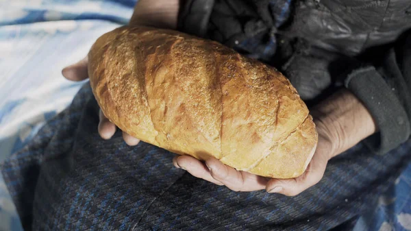 Nonna tiene un pane appena sfornato — Foto Stock