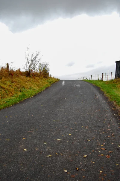 Landweg Een Grijze Bewolkte Dag Landelijke Landschapsfotografie Het Platteland — Stockfoto