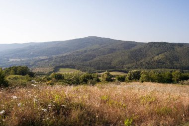 Dağların ve ormanın yanındaki güzel çayır ve tarla manzarası. İtalya 'da bir yaz gününde