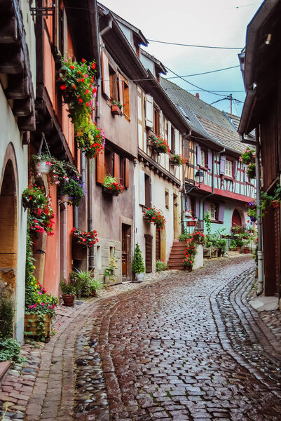 Pretty little flowery street alley with its traditional houses, in Alsace