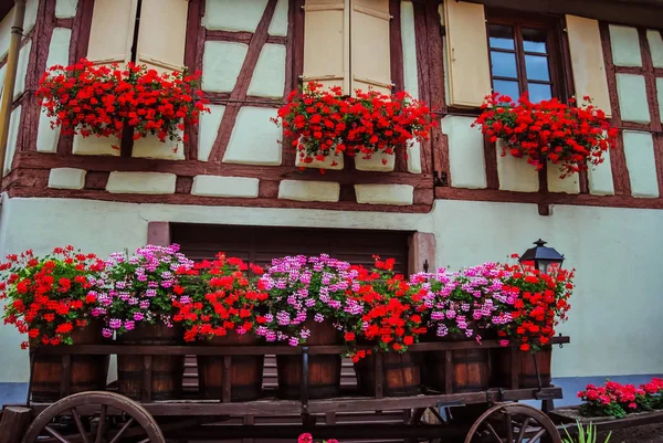 Eguisheim France July 2012 Pretty Little Traditional House Lots Red — стоковое фото