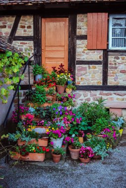 Alsace Ecomuseum 'u, açık hava müzesi, zanaatkarların sunumu ve bir köyün geleneksel evleri. Çiçekli eski geleneksel ev / Ungersheim