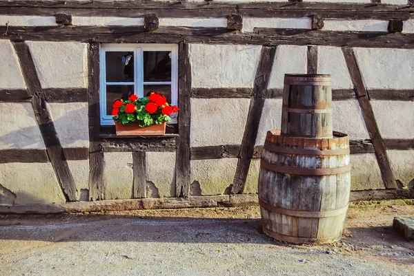 Ecomuseum Elsace Outdoor Living Museum Presentation Craftsmen Traditional Houses Village — стоковое фото