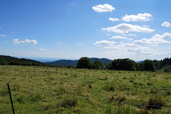 Panorama Vista Dal Ballon Dalsace Gran Pallone Cima Vetta Nelle — Foto Stock