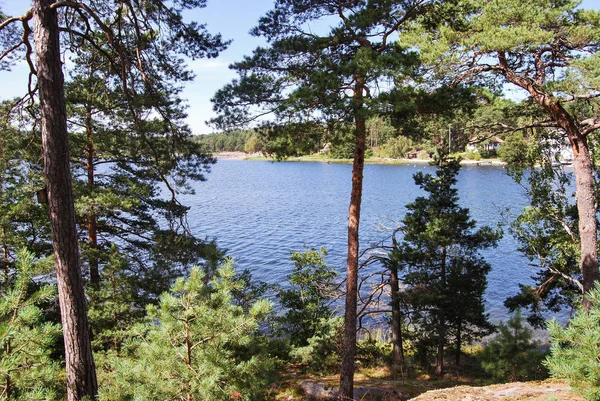 スウェーデンの美しい晴れた夏の日に ストックホルム諸島の島の湖 Varmdo Uppland Sodermanland Alstaket — ストック写真