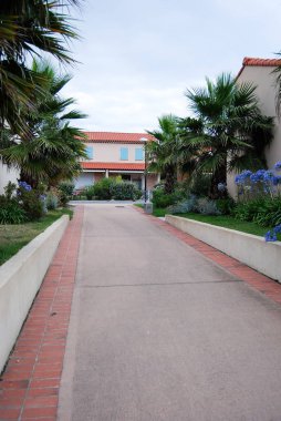 Çiçekli patikası olan güzel villalar ve Provence, Martigues 'de palmiye ağaçları