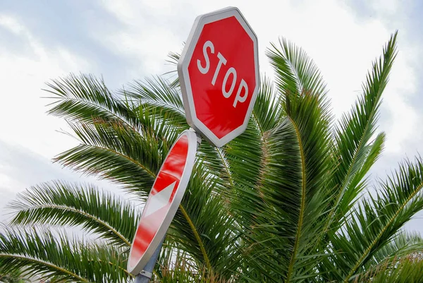 Red Stop Sign Front Palm Trees Provence France — Stock Photo, Image