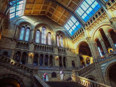 Londra, İngiltere - 29 Eylül 2015: Doğal Tarih Müzesi, doğal tarihin çeşitli kesimlerinden çok çeşitli örnekler barındıran ünlü müze.