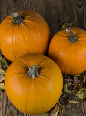 Turuncu kabak sonbahar ve Halloween bir sembolü olarak