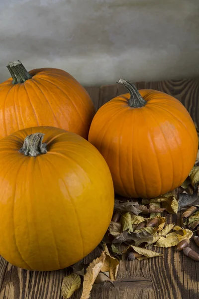 Orangefarbene Kürbisse als Symbol für Herbst und Halloween — Stockfoto