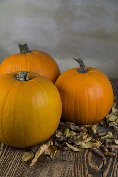 Orangefarbene Kürbisse als Symbol für Herbst und Halloween — Stockfoto