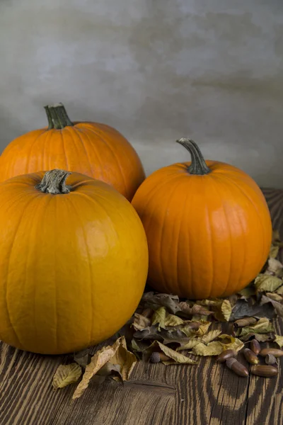 Calabazas Naranjas como símbolo de Otoño y Halloween —  Fotos de Stock