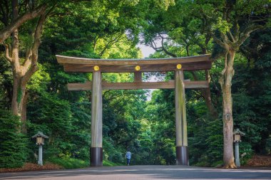 Merkezi Tokyo, Japonya'da Meiji jingu Tapınağı'nda giriş.