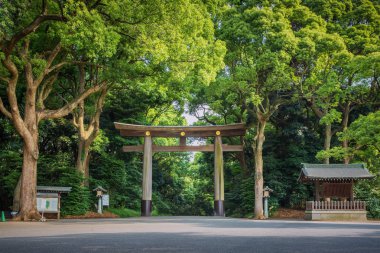 Merkezi Tokyo, Japonya'da Meiji jingu Tapınağı'nda giriş.