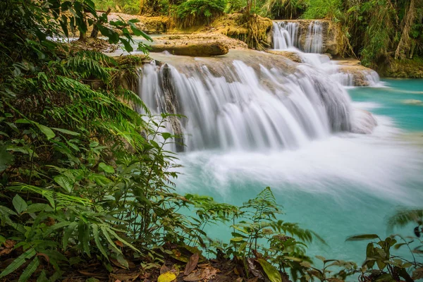 Kuang Si Şelalesi, Luang Prabang, Laos
