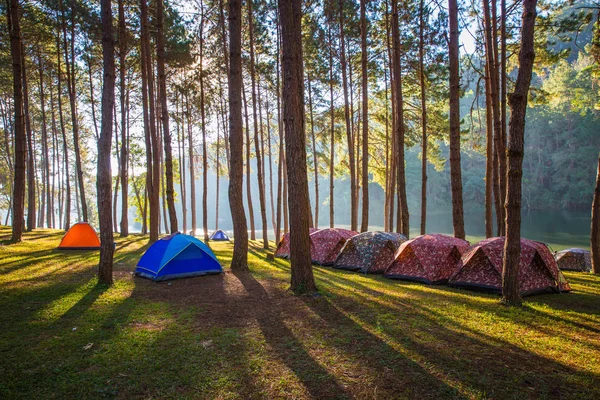 Namioty kopuła nad jeziorem we mgle w sunrise Pang Ung (P — Zdjęcie stockowe