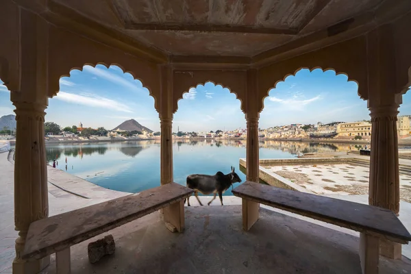 Utsikt över pushkar sjön på Pushkar, Rajasthan — Stockfoto