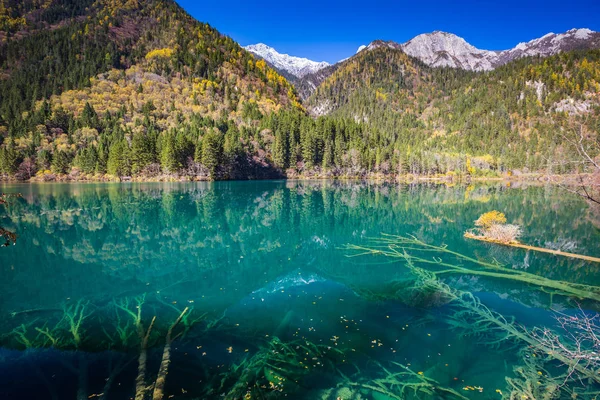 Podzimní Les Jezero Krajina Jiuzhaigou Jiuzhai Valley National Park Provincie — Stock fotografie