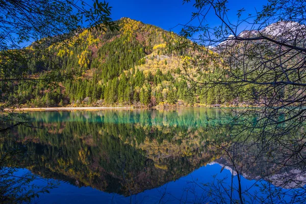 Осенний Лес Пейзаж Озера Jiuzhaigou Jiuzhai Valley National Park Провинции — стоковое фото