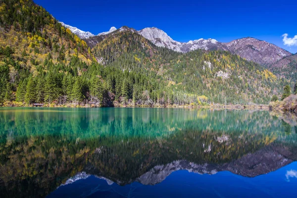 Podzimní Les Jezero Krajina Jiuzhaigou Jiuzhai Valley National Park Provincie — Stock fotografie