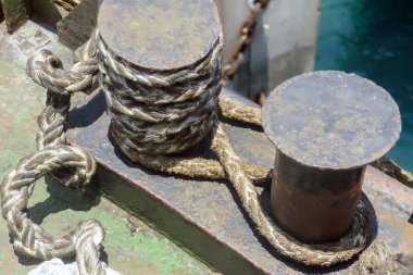 Eski paslı Koç boynuzu için güvenli yaşlı