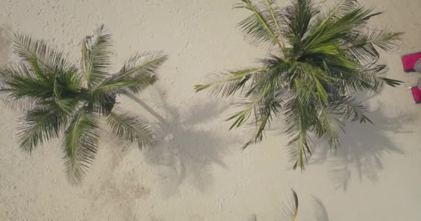 Flygfoto Över Palmer Och Paraply Stranden Nusa Dualister Bali Indonesien — Stockvideo