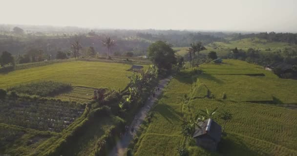 Luchtfoto Van Jatiluwih Rice Terrace — Stockvideo