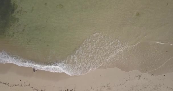 Dalganın ve plajın havadan görünüşü — Stok video
