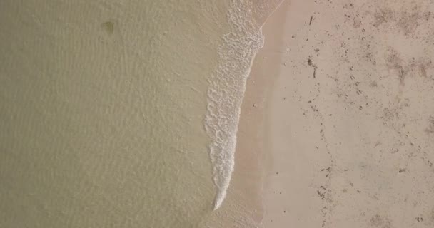 Vue aérienne de la vague et de la plage 