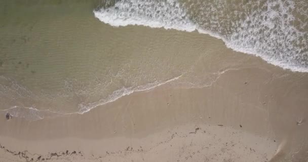 Luftaufnahme von Welle und Strand — Stockvideo