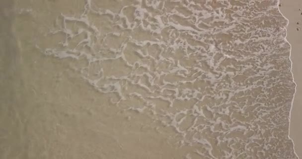 Aerial view of wave and beach — Stock Video