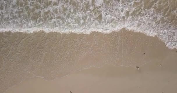 Utsikt over bølger og strand i luften – stockvideo