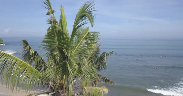 Flygfoto över Balangan stranden, Bali, Indonesien — Stockvideo