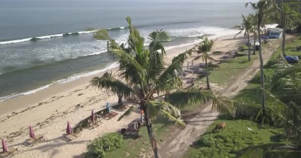 Luftaufnahme vom Strand von Balangan, Bali, Indonesien — Stockvideo