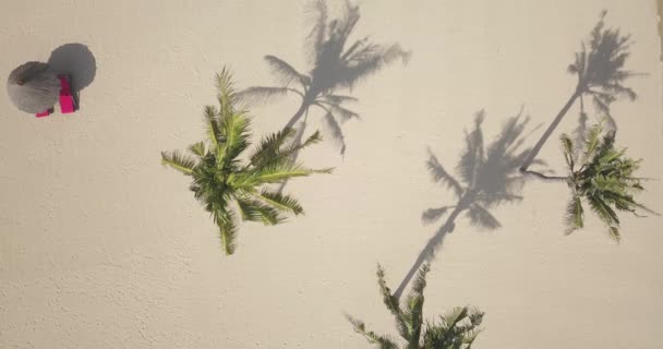 Vanuit de lucht uitzicht op het strand — Stockvideo